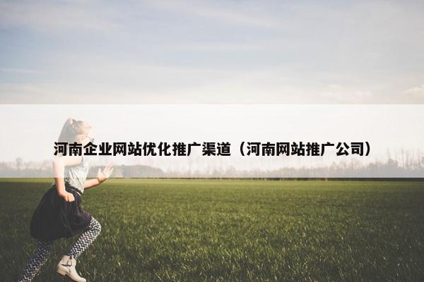 河南企业网站优化推广渠道（河南网站推广公司）