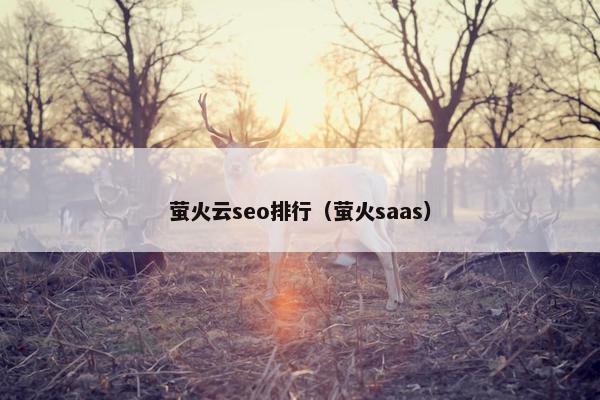萤火云seo排行（萤火saas）