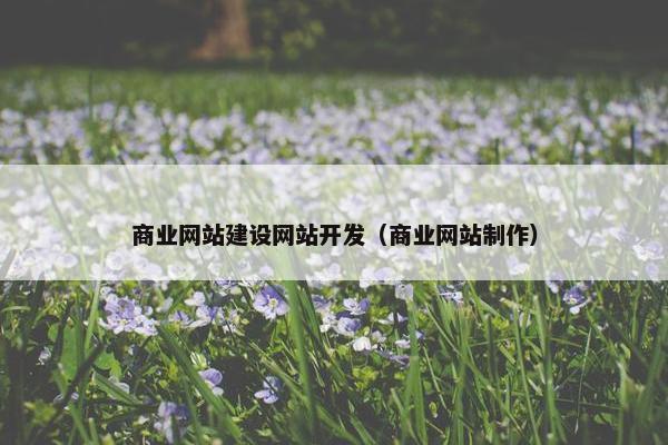 商业网站建设网站开发（商业网站制作）