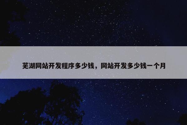 芜湖网站开发程序多少钱，网站开发多少钱一个月