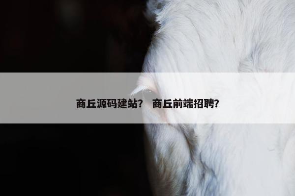 商丘源码建站？ 商丘前端招聘？