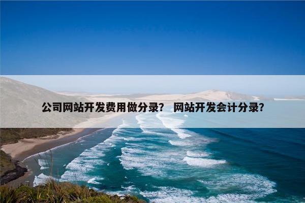 公司网站开发费用做分录？ 网站开发会计分录？