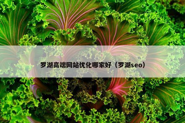 罗湖高端网站优化哪家好（罗湖seo）