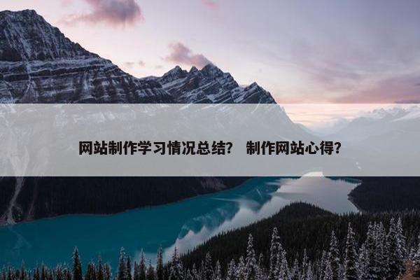 网站制作学习情况总结？ 制作网站心得？