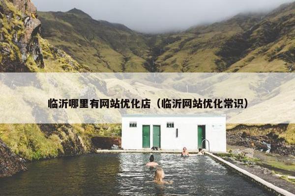 临沂哪里有网站优化店（临沂网站优化常识）