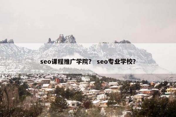 seo课程推广学院? seo专业学校? seo课程推广学院? seo专业学校?