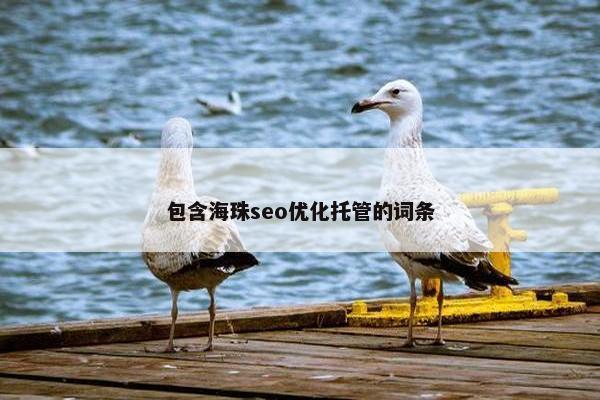 包含海珠seo优化托管的词条 包含海珠seo优化托管的词条