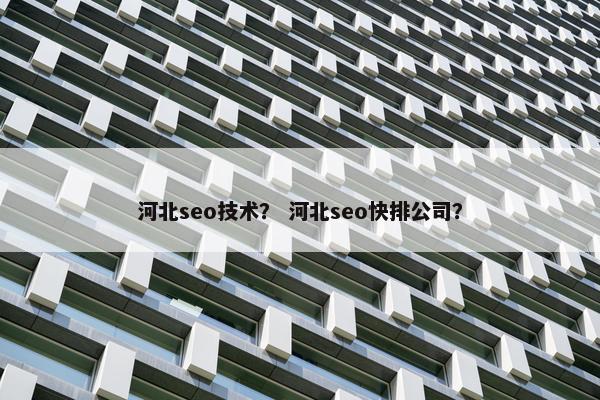 河北seo技术? 河北seo快排公司? 河北seo技术? 河北seo快排公司?