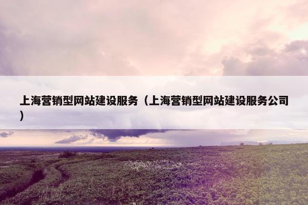 上海营销型网站建设服务（上海营销型网站建设服务公司）