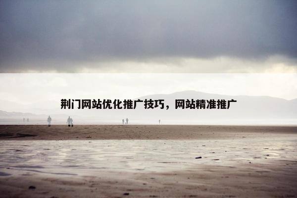 荆门网站优化推广技巧，网站精准推广