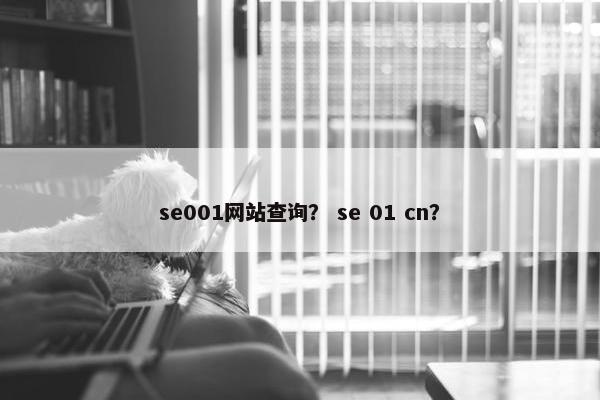 se001网站查询？ se 01 cn？