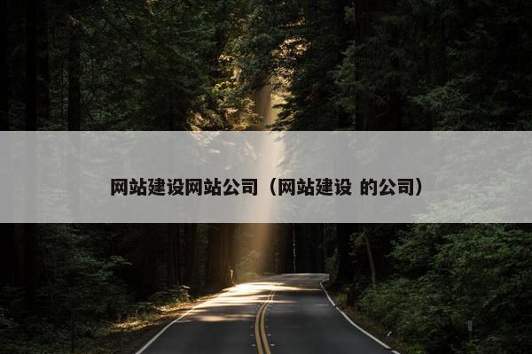 网站建设网站公司（网站建设 的公司）