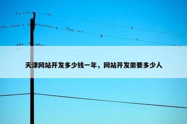天津网站开发多少钱一年，网站开发需要多少人