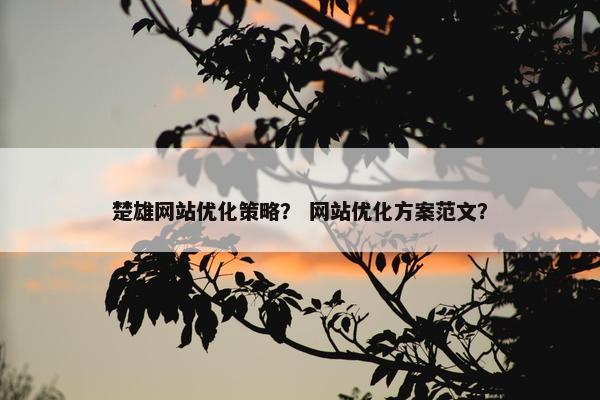 楚雄网站优化策略？ 网站优化方案范文？