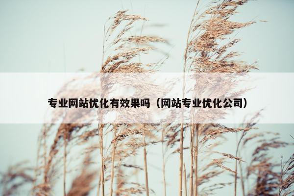 专业网站优化有效果吗（网站专业优化公司）