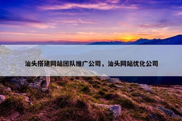 汕头搭建网站团队推广公司，汕头网站优化公司