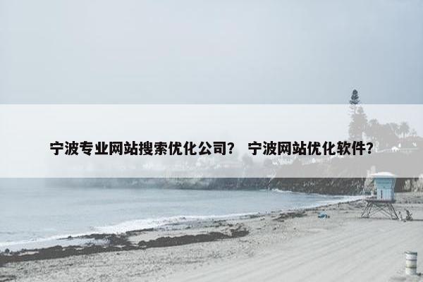 宁波专业网站搜索优化公司？ 宁波网站优化软件？