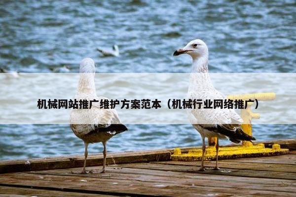 机械网站推广维护方案范本（机械行业网络推广）