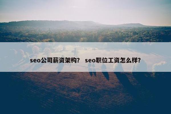seo公司薪资架构？ seo职位工资怎么样？