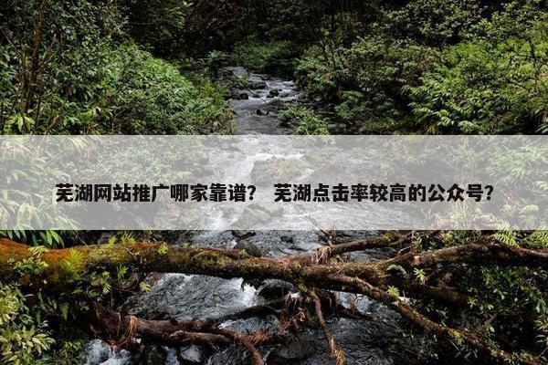 芜湖网站推广哪家靠谱？ 芜湖点击率较高的公众号？