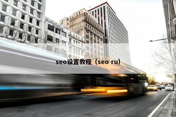 seo设置教程（seo ru）