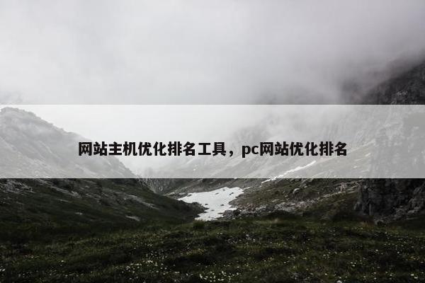 网站主机优化排名工具，pc网站优化排名