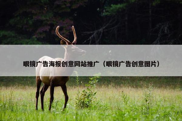 眼镜广告海报创意网站推广（眼镜广告创意图片）