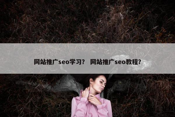 网站推广seo学习？ 网站推广seo教程？
