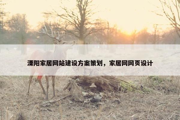 溧阳家居网站建设方案策划，家居网网页设计