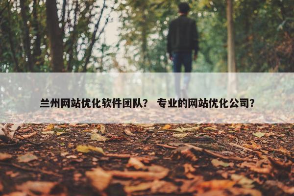兰州网站优化软件团队？ 专业的网站优化公司？