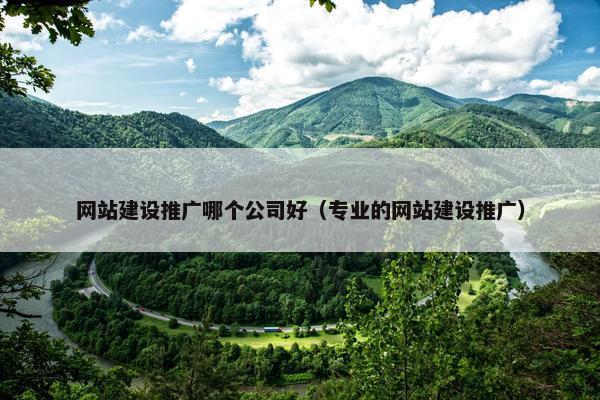网站建设推广哪个公司好（专业的网站建设推广）