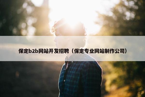 保定b2b网站开发招聘（保定专业网站制作公司）
