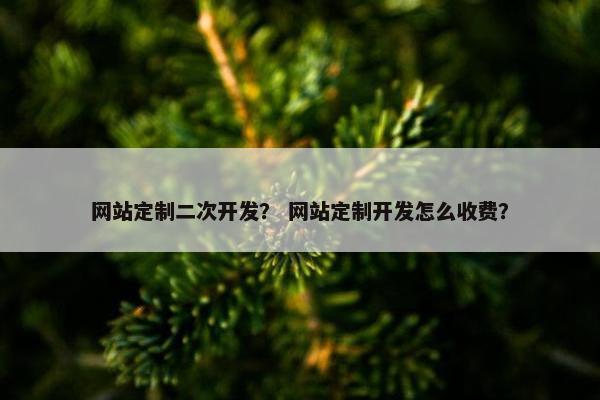 网站定制二次开发？ 网站定制开发怎么收费？