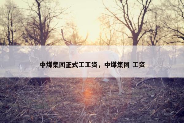 中煤集团正式工工资，中煤集团 工资