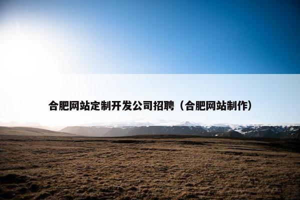合肥网站定制开发公司招聘（合肥网站制作）