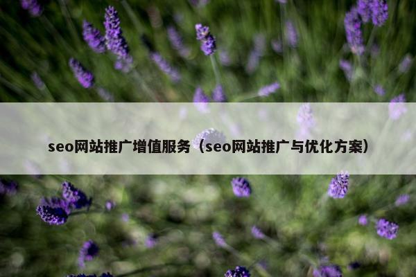seo网站推广增值服务（seo网站推广与优化方案）