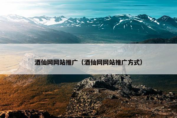 酒仙网网站推广（酒仙网网站推广方式）