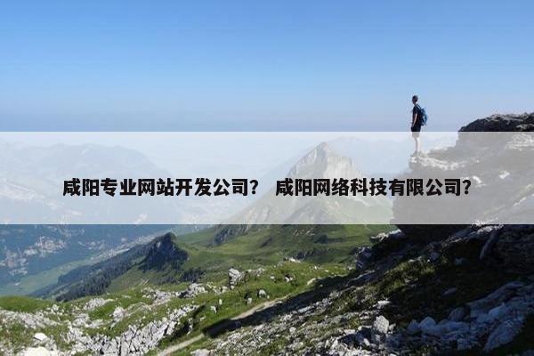 咸阳专业网站开发公司？ 咸阳网络科技有限公司？