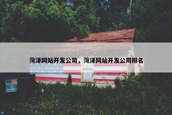 菏泽网站开发公司，菏泽网站开发公司排名