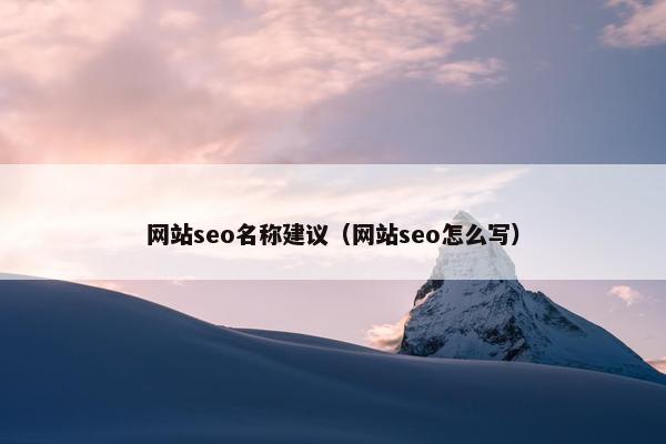 网站seo名称建议（网站seo怎么写）