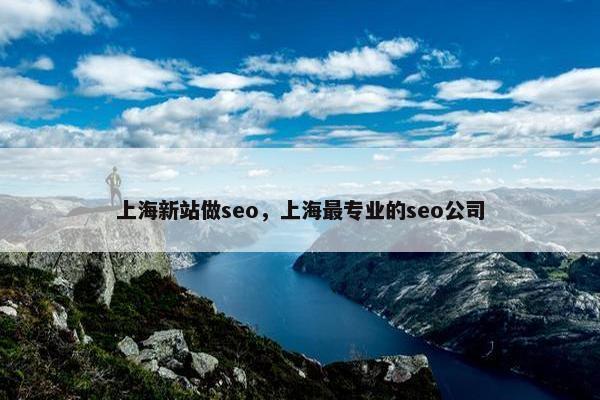 上海新站做seo，上海最专业的seo公司