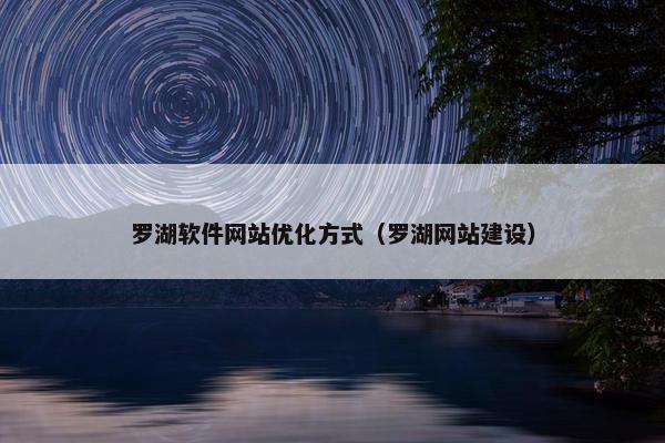 罗湖软件网站优化方式（罗湖网站建设）