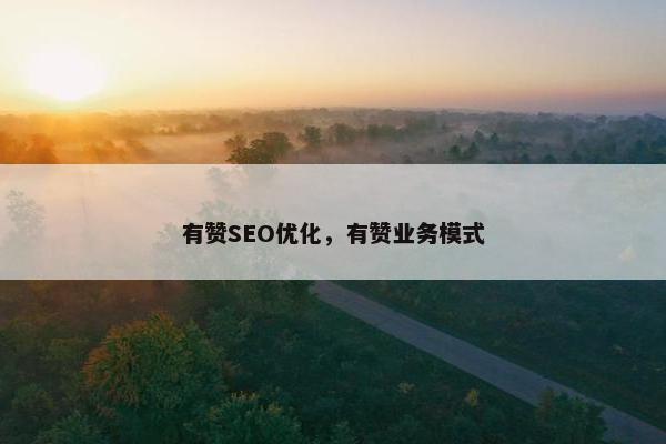 有赞SEO优化，有赞业务模式