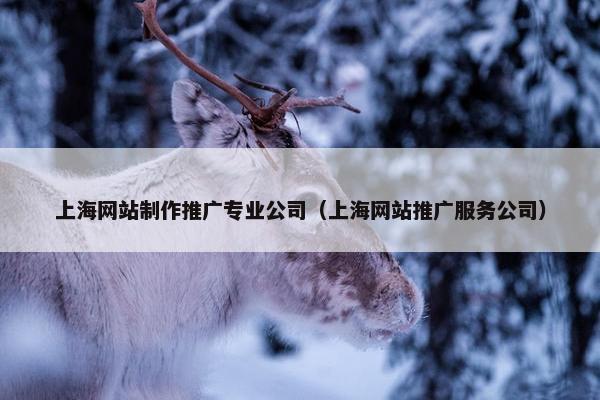上海网站制作推广专业公司（上海网站推广服务公司）