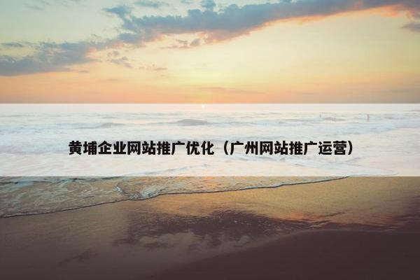 黄埔企业网站推广优化（广州网站推广运营）