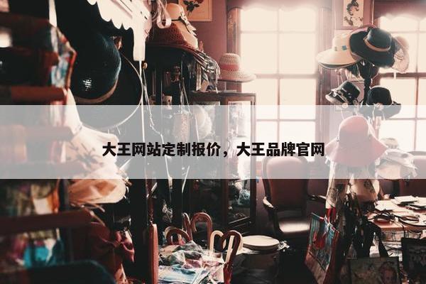 大王网站定制报价，大王品牌官网