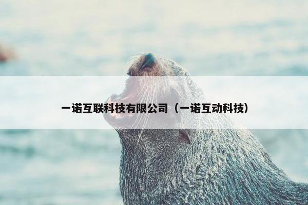 一诺互联科技有限公司（一诺互动科技）