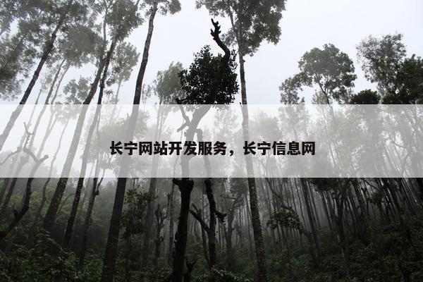 长宁网站开发服务，长宁信息网