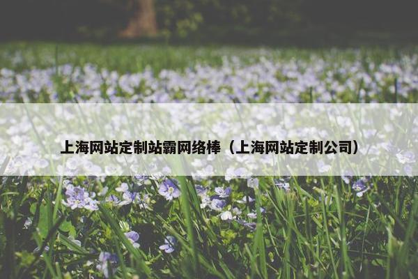 上海网站定制站霸网络棒（上海网站定制公司）