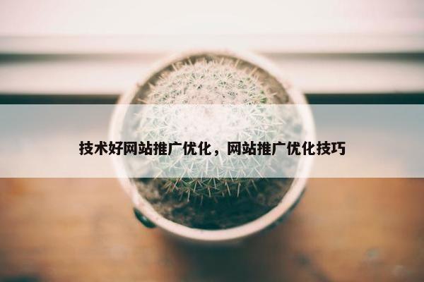 技术好网站推广优化，网站推广优化技巧
